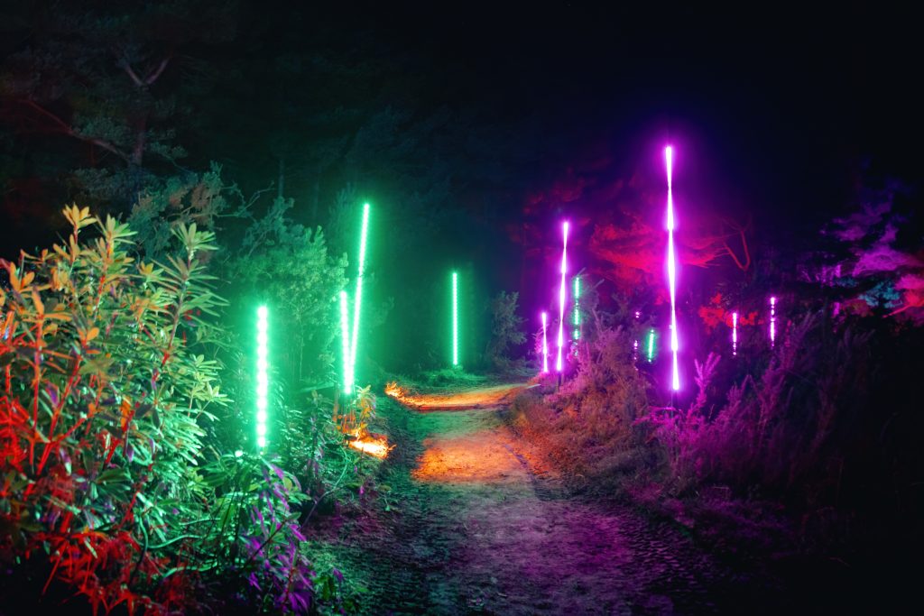 Illuminate up lights