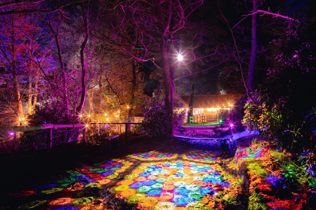 Illuminate multicolour patterns