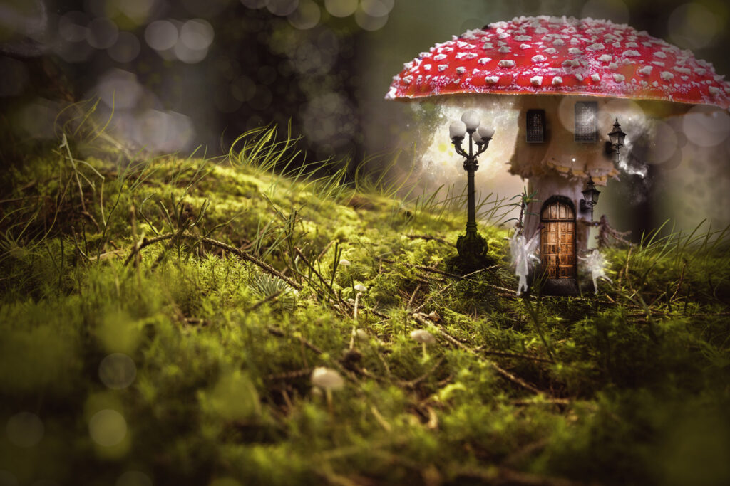 fairy house made of a mushroom in the middle of the forest