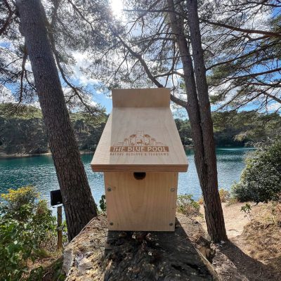 Blue Pool Bird Box