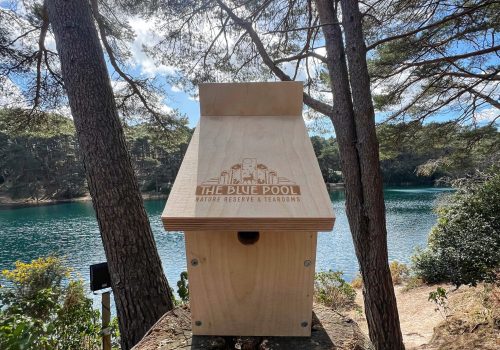 Blue Pool Bird Box