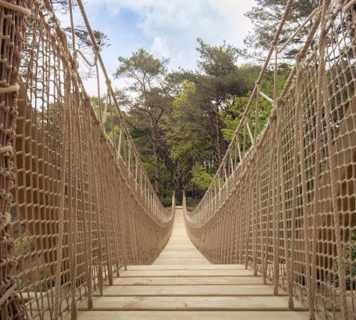 Explore The Blue Pool rope bridge