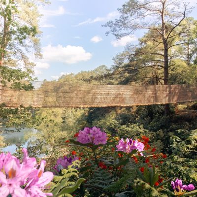The Blue Pool rope bridge