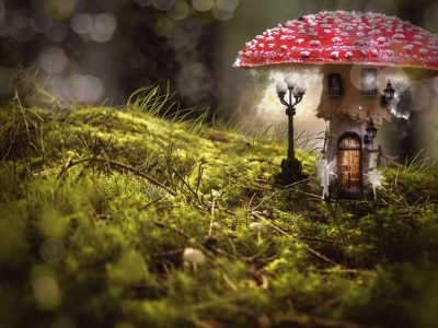fairy house made of a mushroom in the middle of the forest