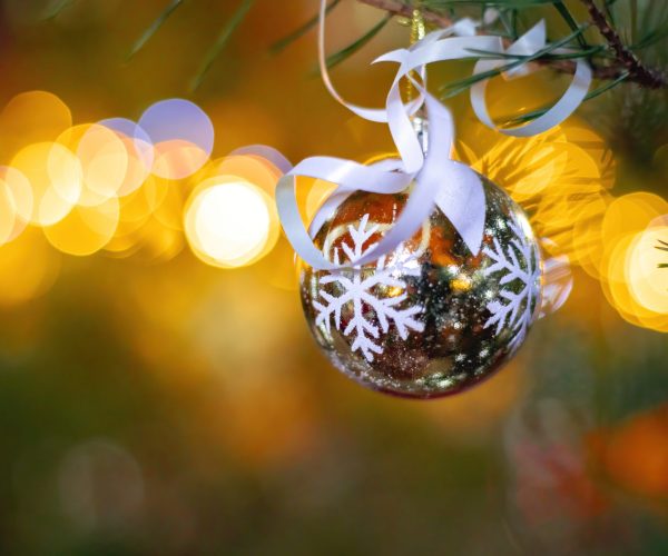 Christmas bauble hanging on a tree