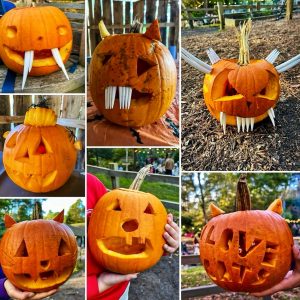 Carved pumpkins