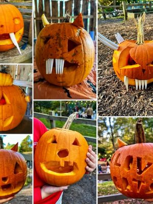 Carved pumpkins