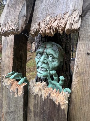 The Blue Pool Haunted Trail Zombie