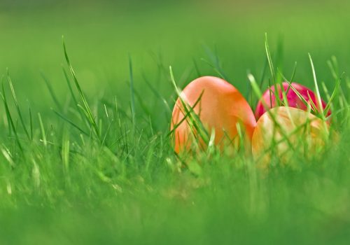 easter greeting, easter eggs, grass, meadow, nature, easter, colorful eggs, eggs, field, looking for eggs, easter eggs, easter eggs, easter eggs, easter eggs, easter, easter, easter, easter, easter